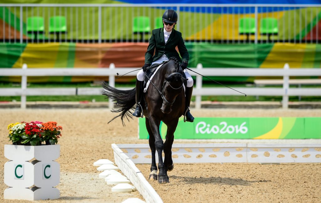 Para Equestrian - Paralympics